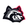 BetFury logo